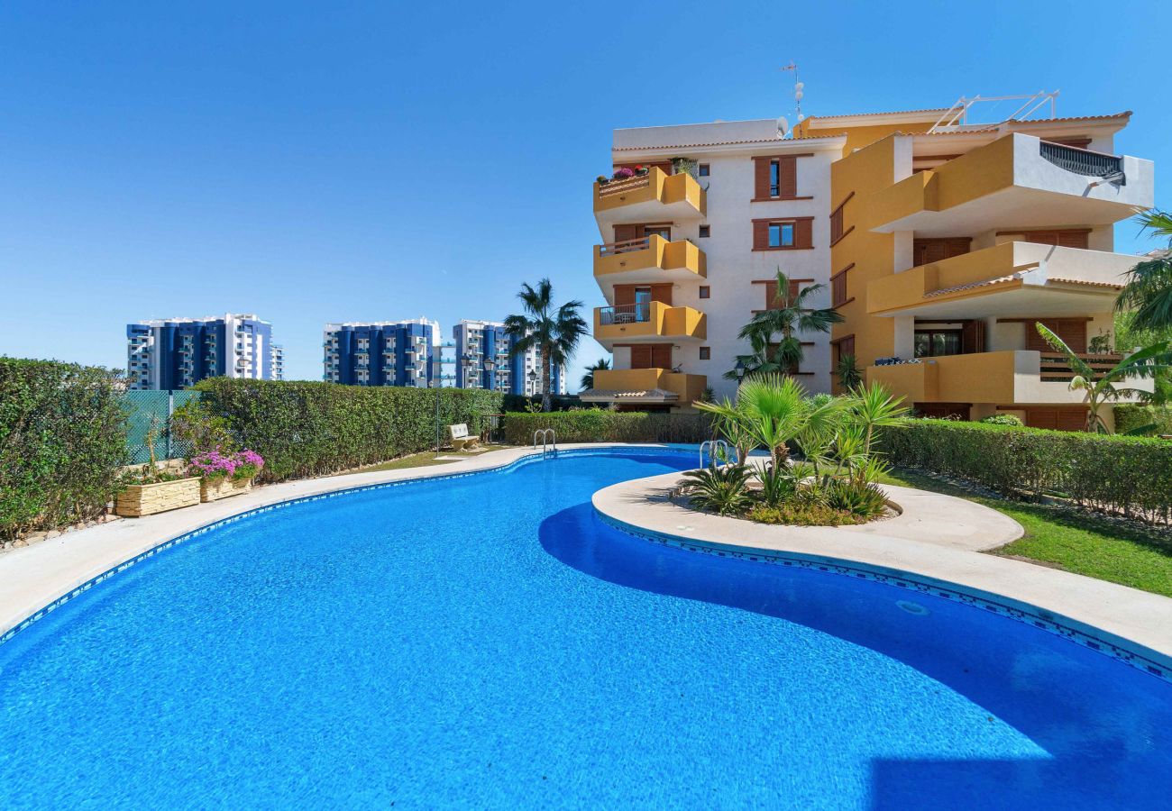 Apartamento en Torrevieja - ESTRELLA by the Sea VT-479942-A