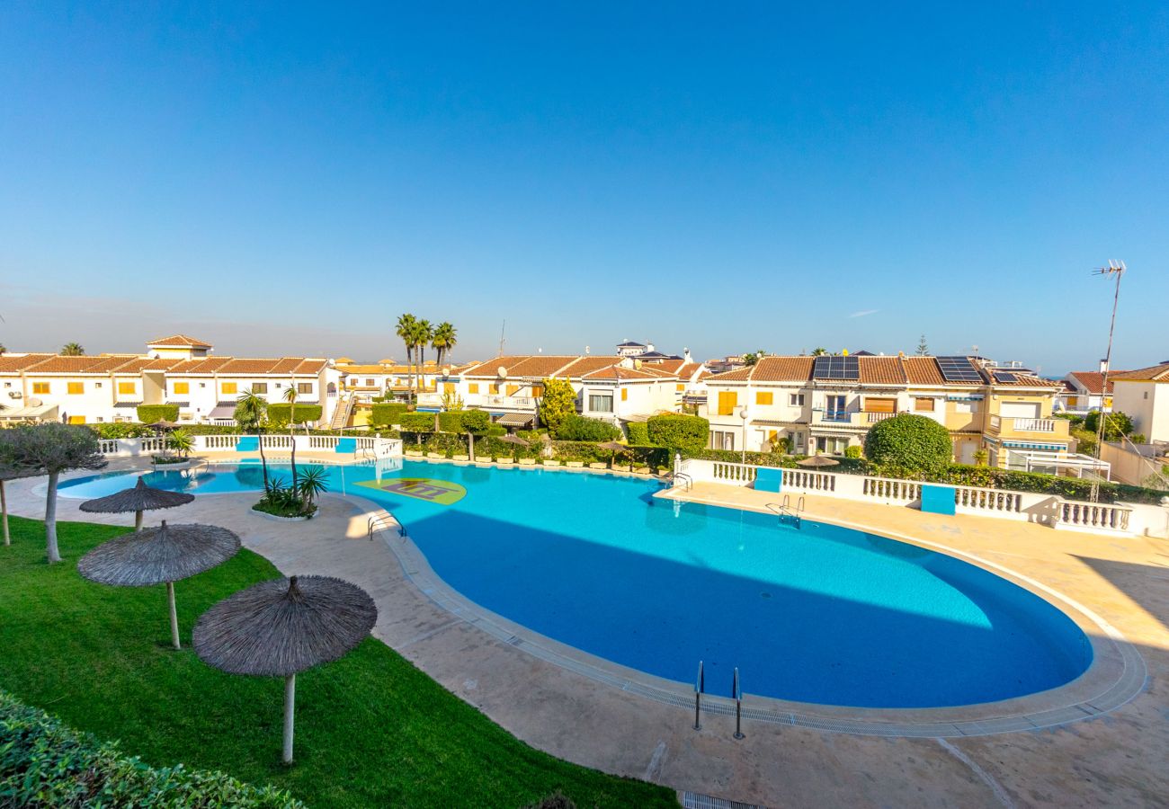 Estudio en La Mata - PERLA by the Sea VT-515607-A