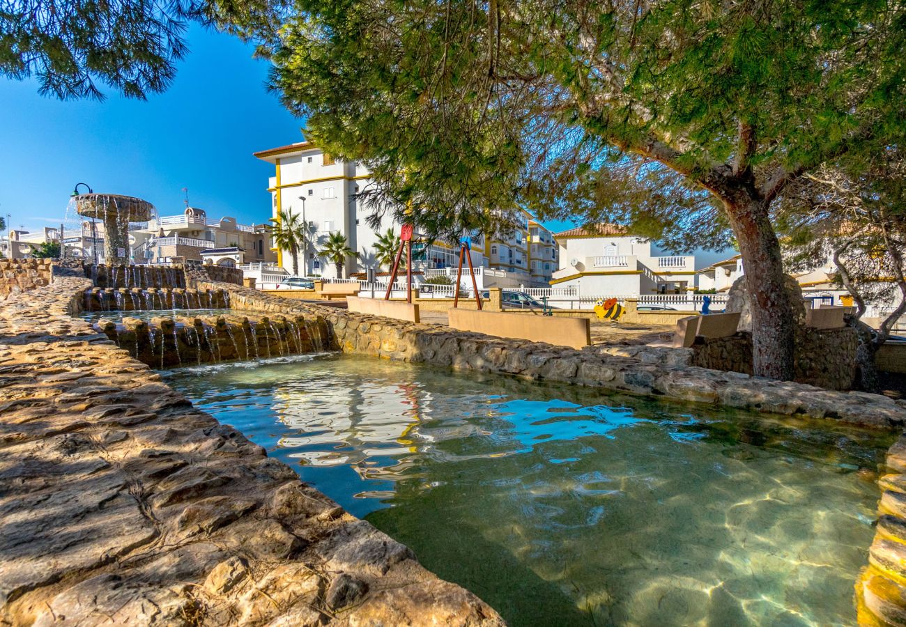 Estudio en La Mata - PERLA by the Sea VT-515607-A