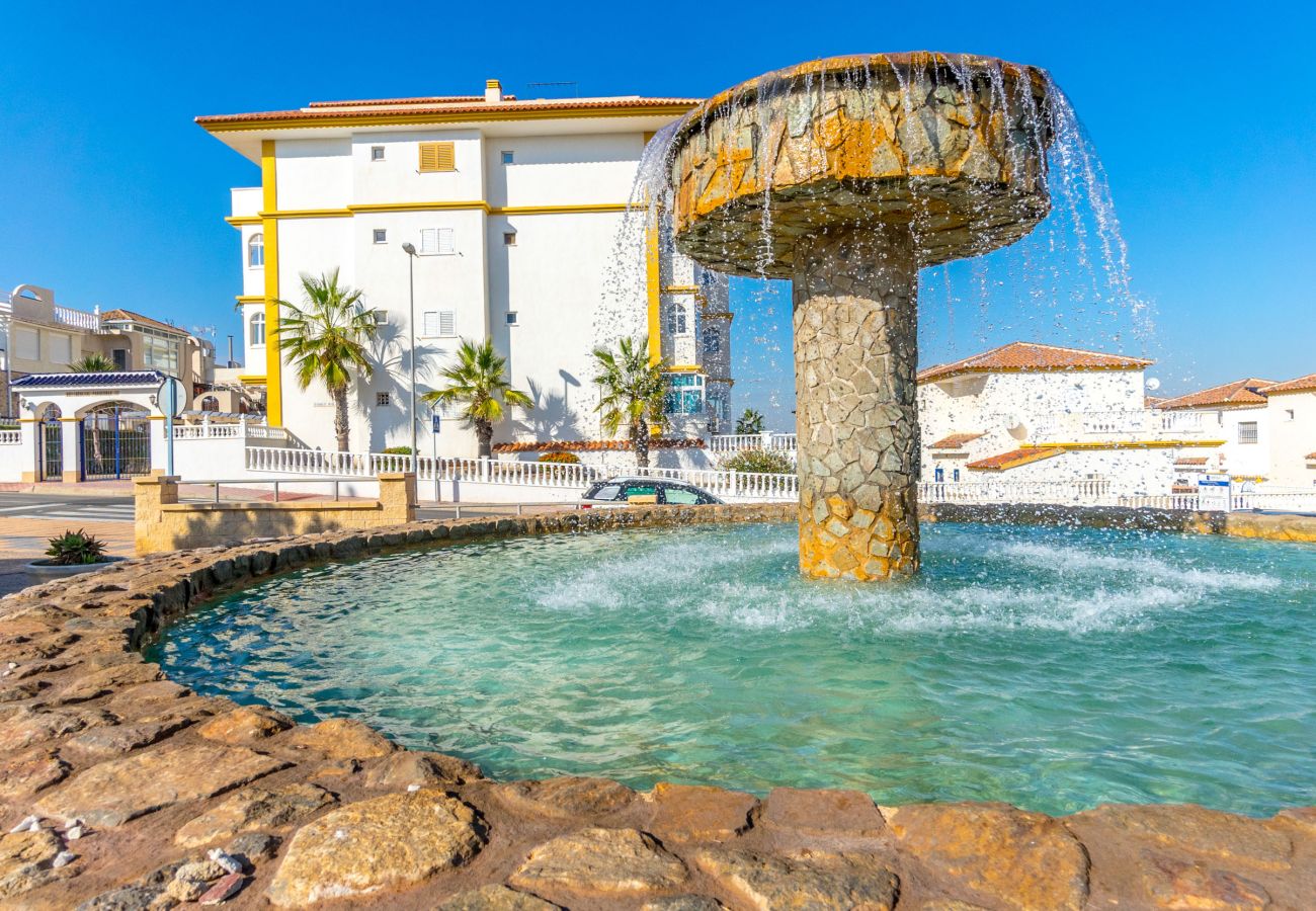 Estudio en La Mata - PERLA by the Sea VT-515607-A