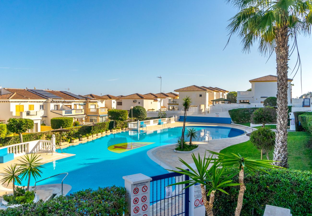 Estudio en La Mata - PERLA by the Sea VT-515607-A
