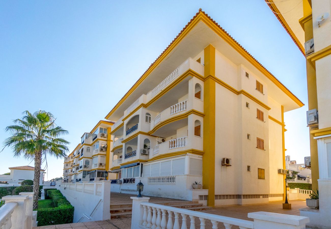 Estudio en La Mata - PERLA by the Sea VT-515607-A