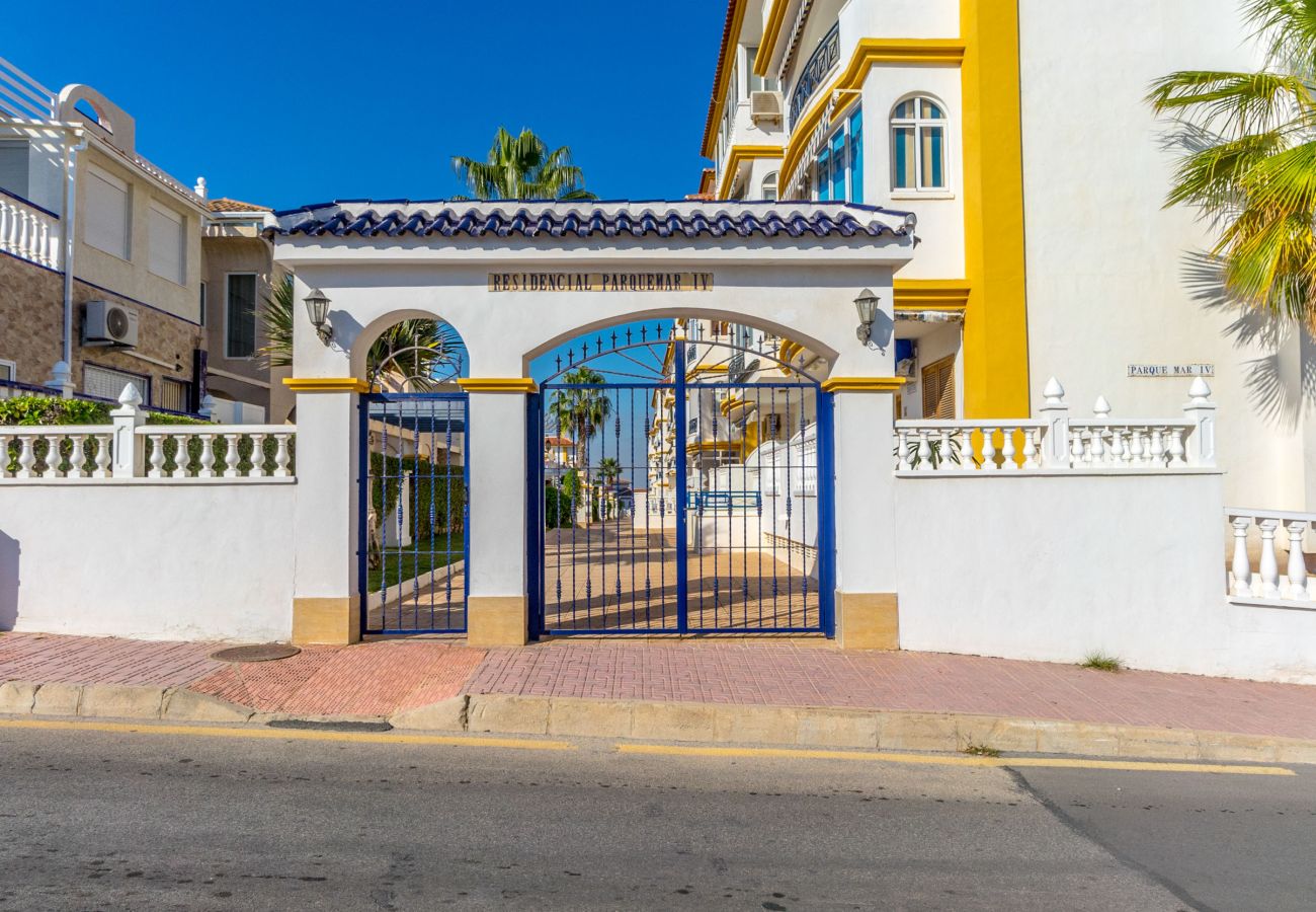 Estudio en La Mata - PERLA by the Sea VT-515607-A
