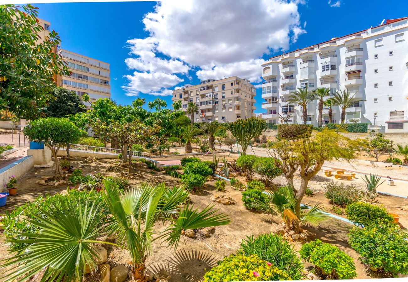 Estudio en Torrevieja - AURA by the Sea EGVT-1401-A