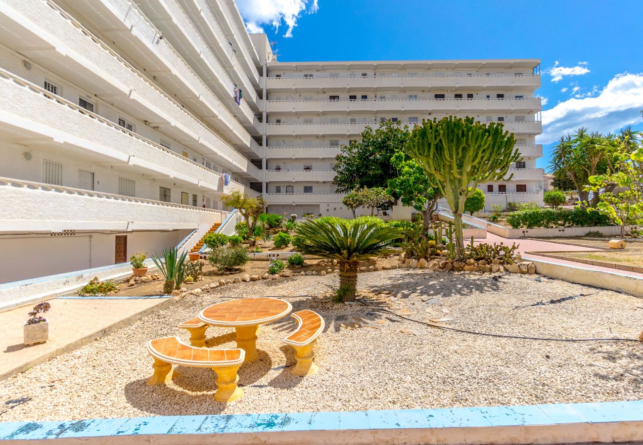 Estudio en Torrevieja - AURA by the Sea EGVT-1401-A