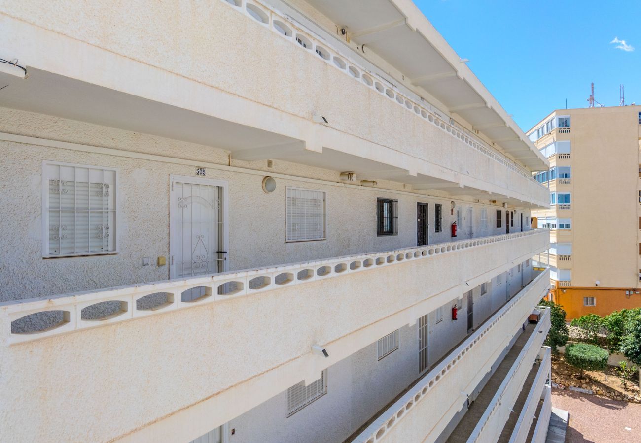 Estudio en Torrevieja - AURA by the Sea EGVT-1401-A