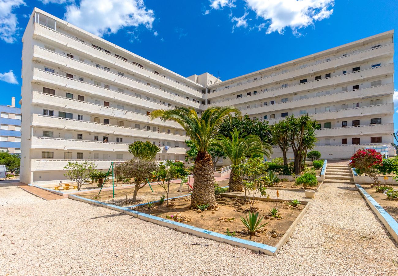 Estudio en Torrevieja - AURA by the Sea EGVT-1401-A
