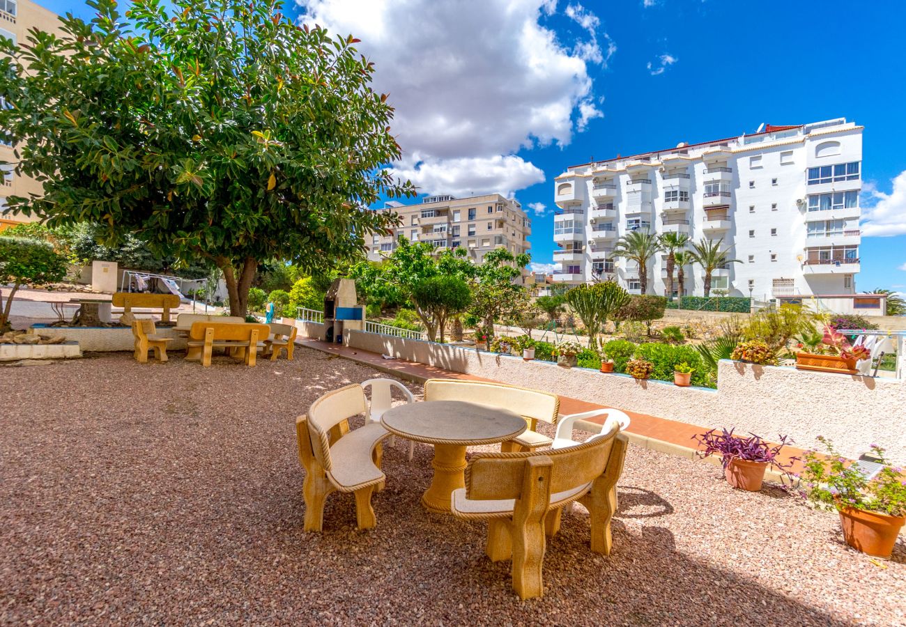 Studio in Torrevieja - AURA by the Sea EGVT-1401-A