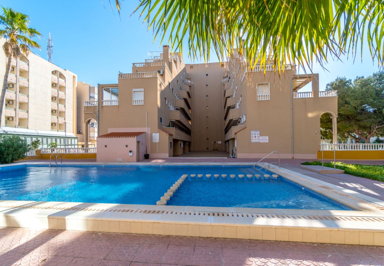 Apartment in Torrevieja - VISTA by the Sea